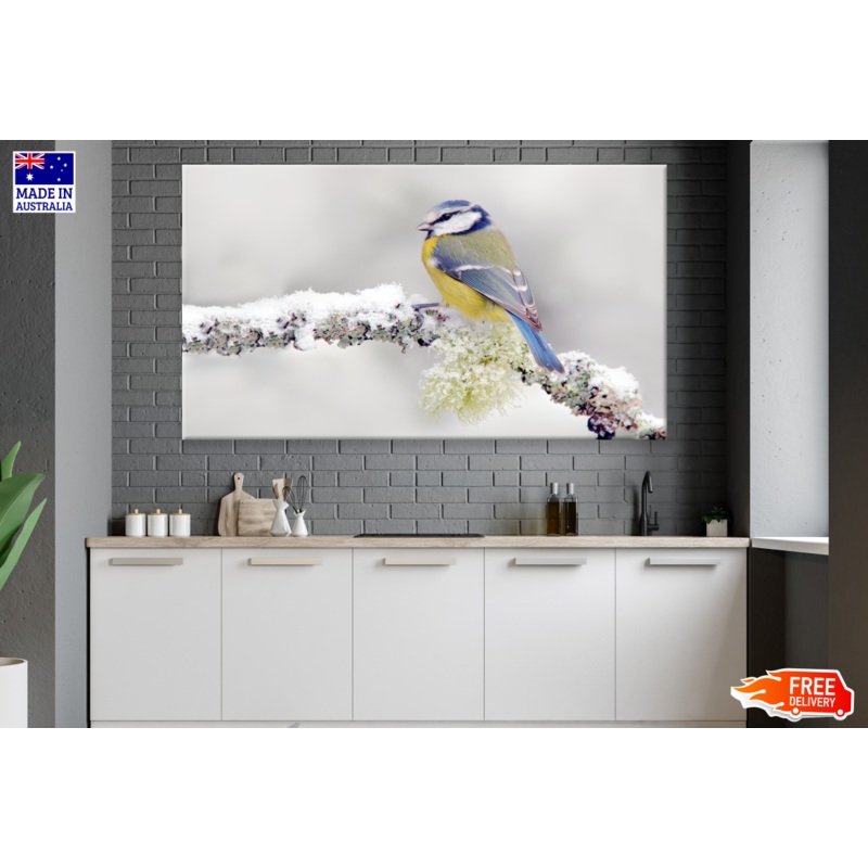 Blue Tit Bird On a Snowy Branch Photograph Print 100% Australian Made