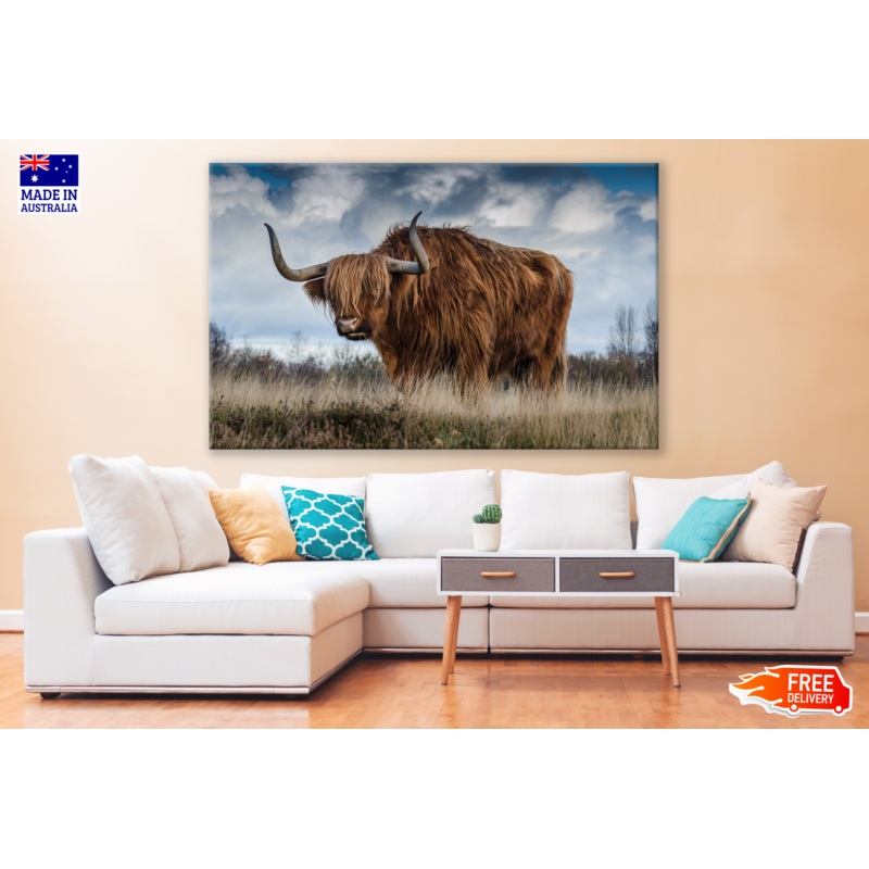 Brown Highland Cow Standing Photograph Painting Print 100% Australian Made