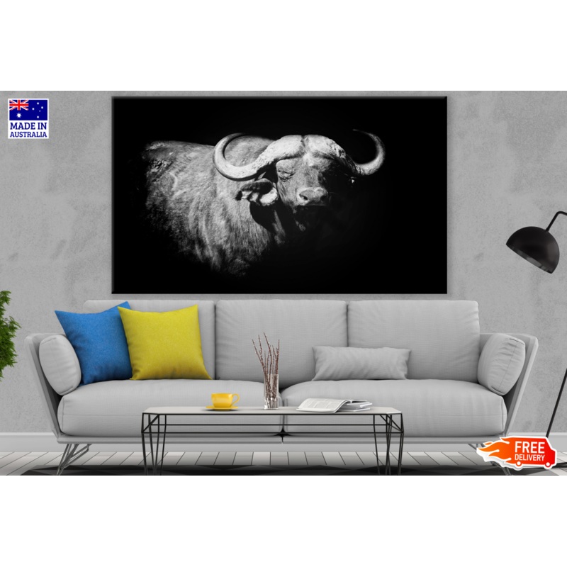 Buffalo Black & White Portrait Photograph Print 100% Australian Made