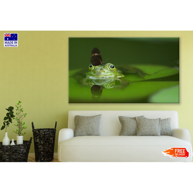 Butterfly On A Frog Photograph Print 100% Australian Made
