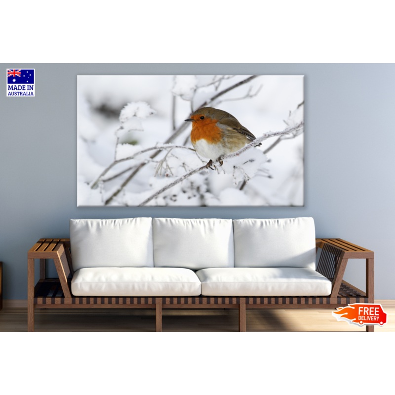 Robin Bird Sitting on Branch Snow Photograph Print 100% Australian Made