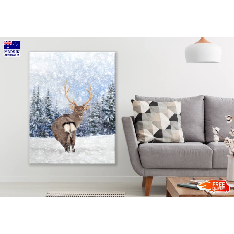 Snow Deer Looking Back Photograph Print 100% Australian Made