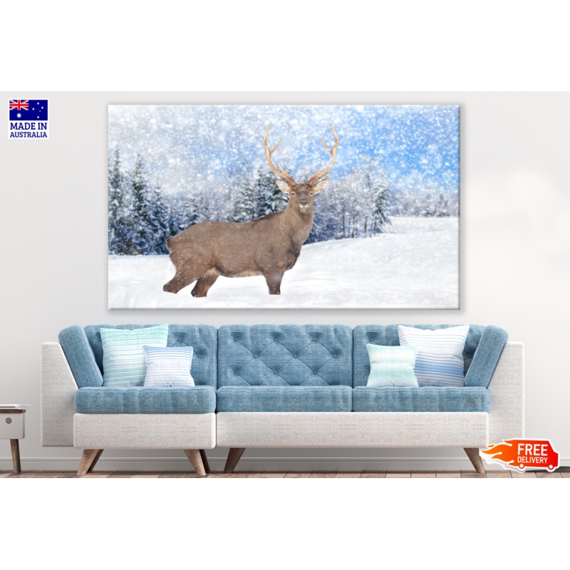 Snow Deer Looking Photograph Print 100% Australian Made