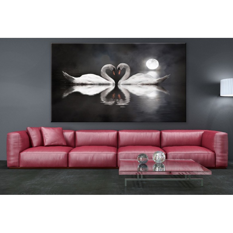 Swan Couple Night Photograph Print 100% Australian Made