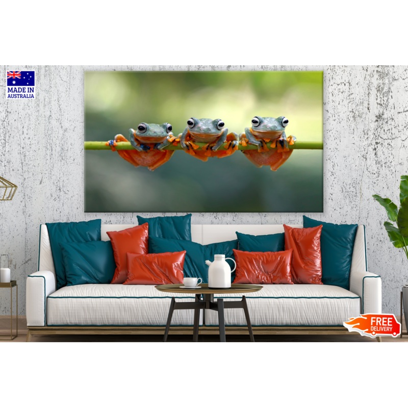 Three Frogs Hanging Print 100% Australian Made