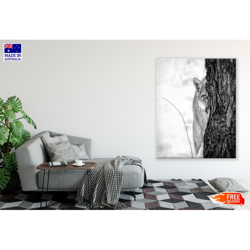 Tiger Covered to a Tree Photograph Print 100% Australian Made