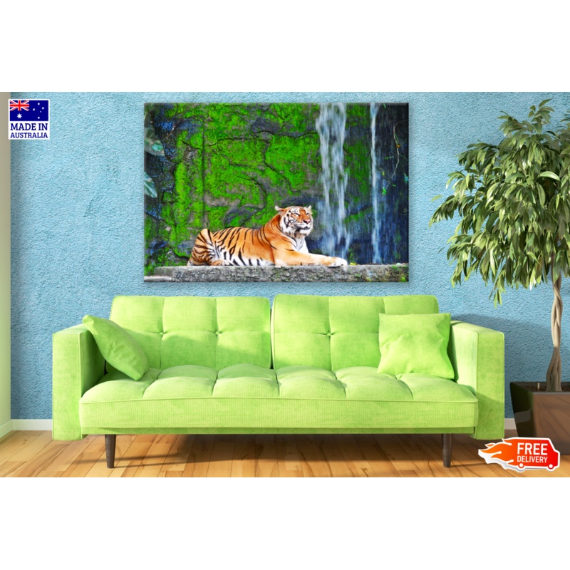 Tiger in Forset WaterFall Photograph Print 100% Australian Made