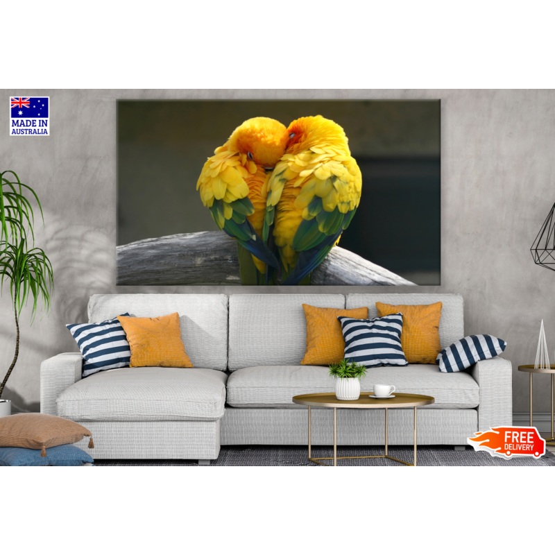 Two Parrot Birds Love Photograph Print 100% Australian Made
