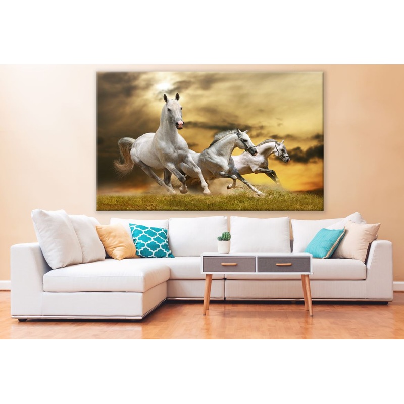 White Horses Running Dust Photograph Print 100% Australian Made