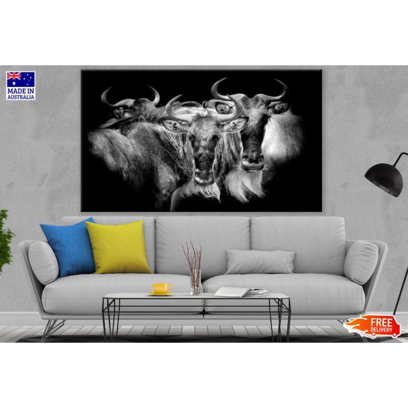 Wildebeests Black & White Portrait Photograph Print 100% Australian Made