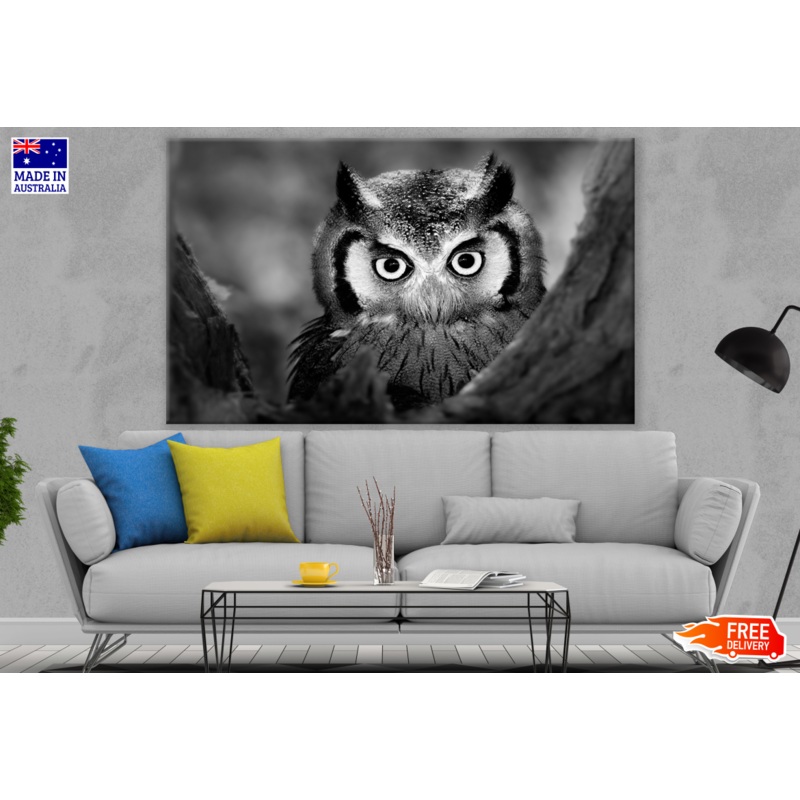 B&W Owl Portrait Photograph Print 100% Australian Made