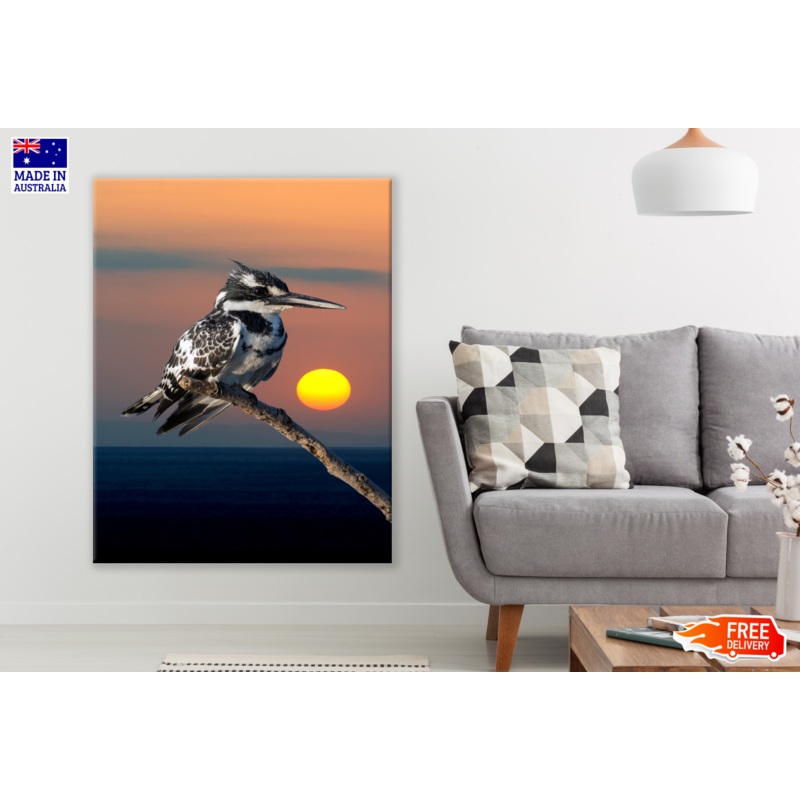 Belted kingfisher on a Branch Sunset Print 100% Australian Made
