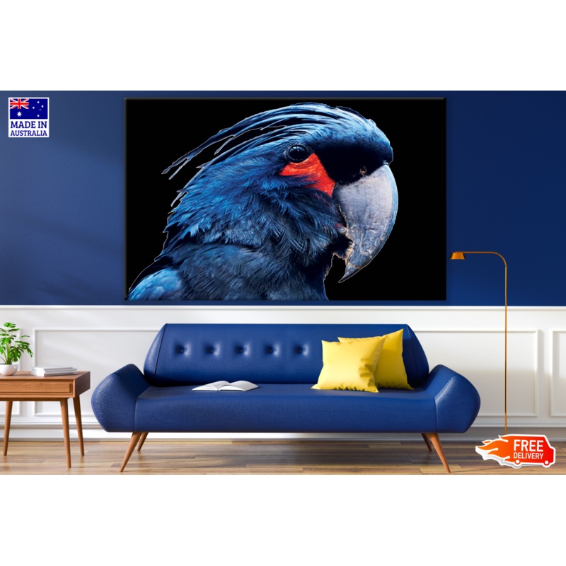 Blue Cockatoo Parrot Portrait Photograph Print 100% Australian Made