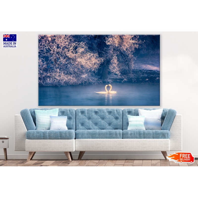 Swan Couple in Lake Photograph Print 100% Australian Made