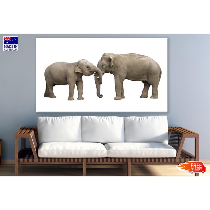 Two Elephants Photograph Print 100% Australian Made