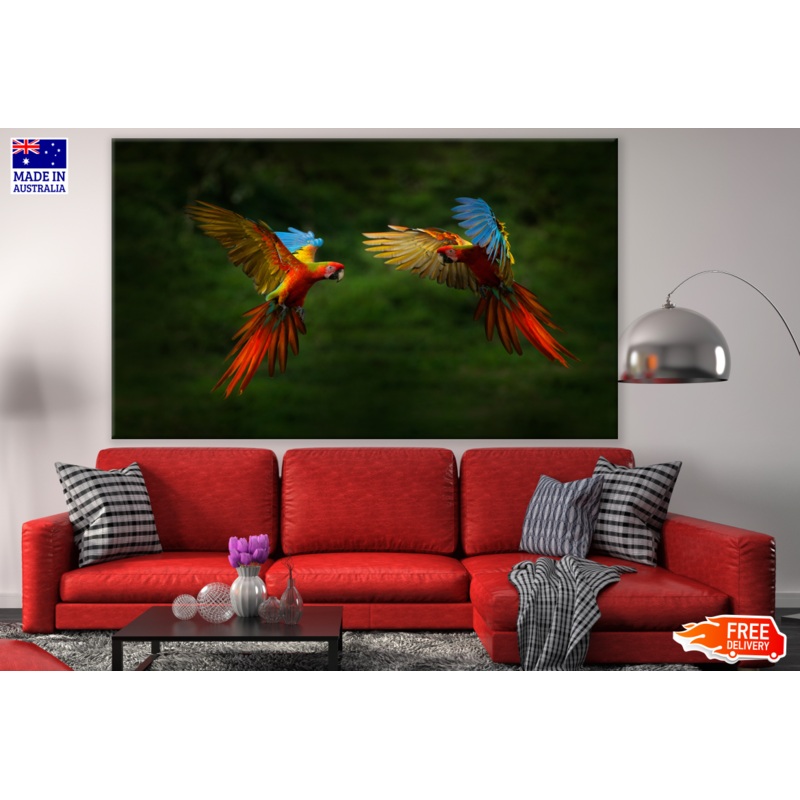 Two Macaw Birds Flying Photograph Print 100% Australian Made