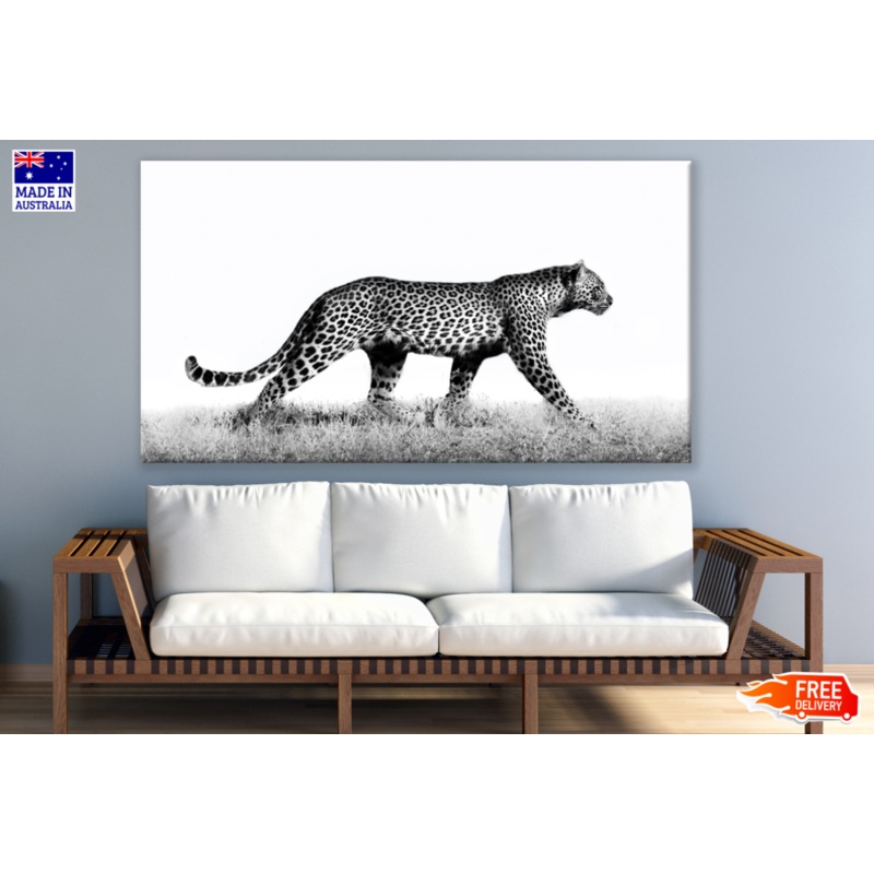 Walking Leopard B&W Photograph Print 100% Australian Made