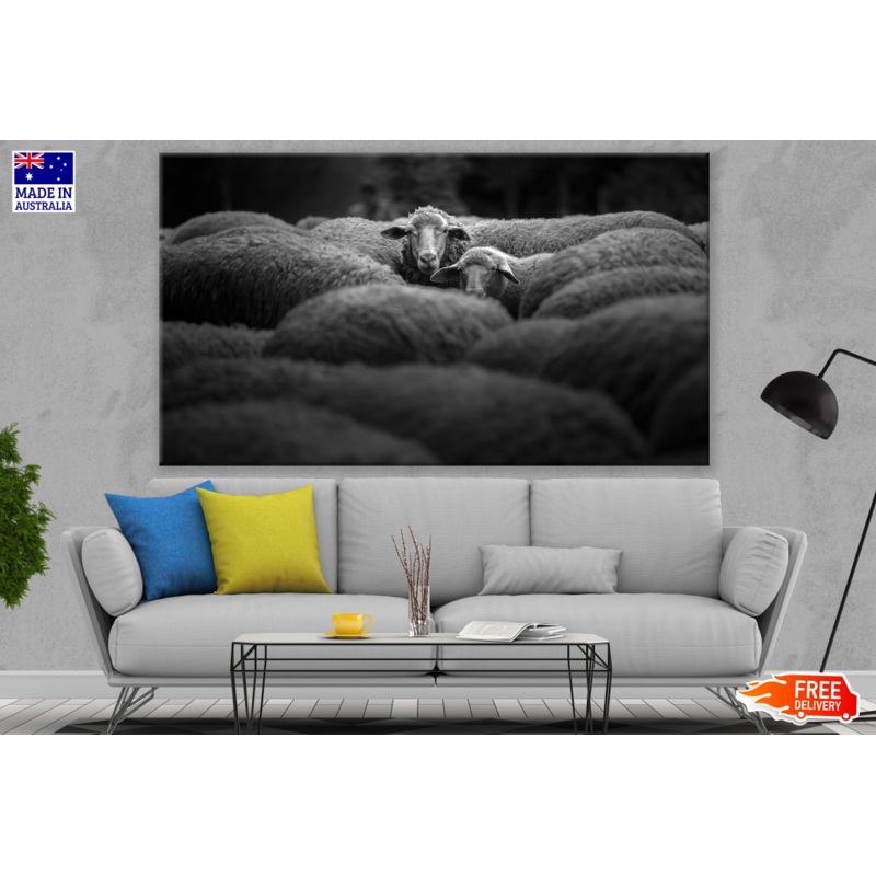 B&W Flock of Sheep Photograph Print 100% Australian Made