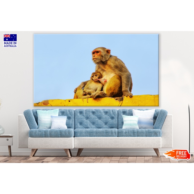 Baby Monkey Drinking Milk From Mother Photograph Print 100% Australian Made