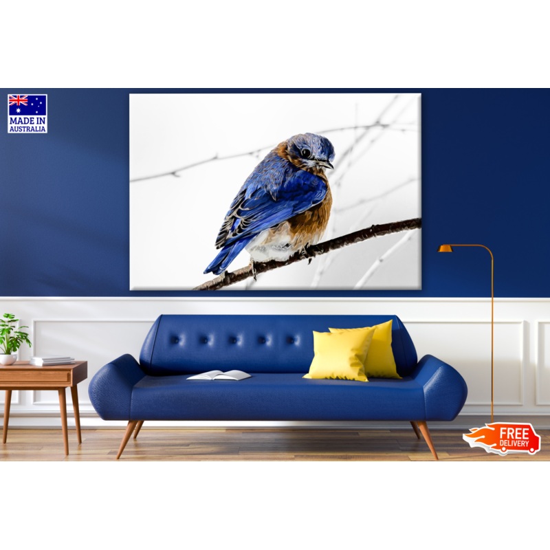 Blue Bird on a Branch Snow Photograph Print 100% Australian Made