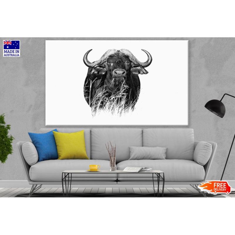 Buffalo B&W Photograph Print 100% Australian Made