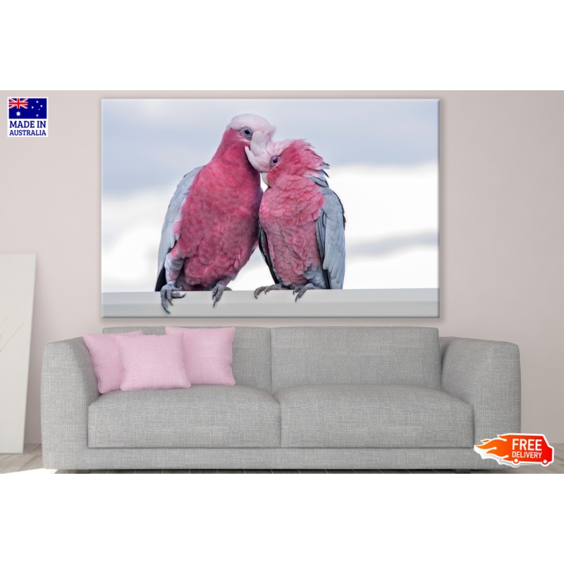 Rose Parrots Love Photograph Print 100% Australian Made
