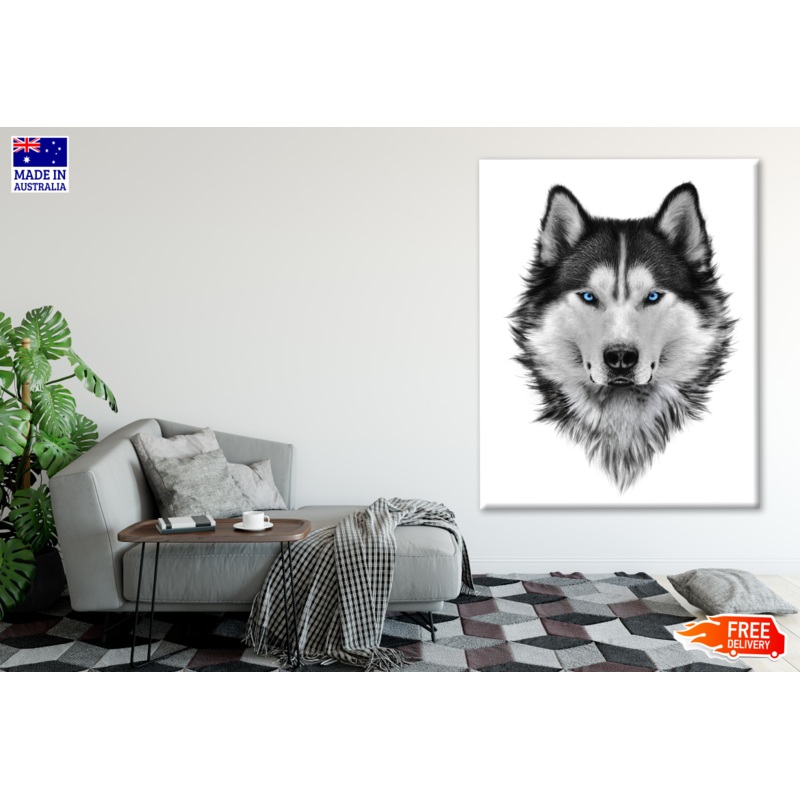 Siberian Husky with Blue Eyes Portrait Photograph Print 100% Australian Made