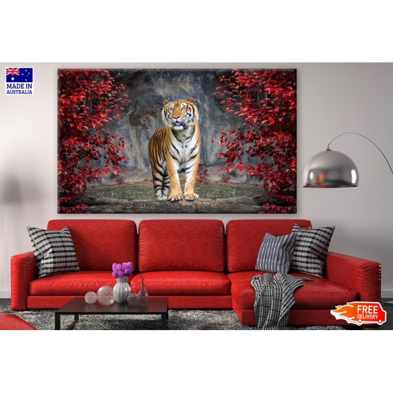 Tiger in Zoo Red Leafy Trees Photograph Print 100% Australian Made
