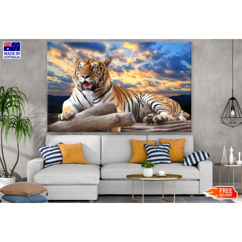 Tiger Sitting on a Tree Photograph Print 100% Australian Made
