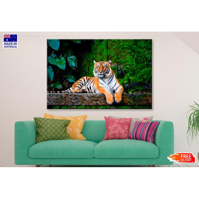 Beautiful Bengal Tiger with Lush Green Habitat Background Wall Art Decor 100% Australian Made