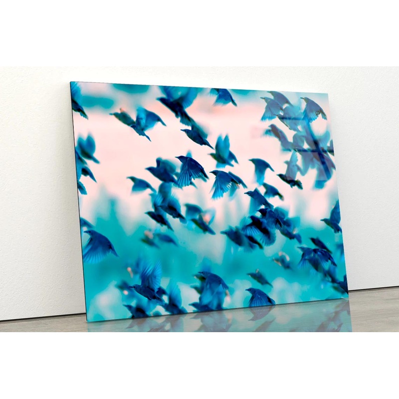 Birds Soaring Through the Sky Acrylic Glass Print Tempered Glass Wall Art 100% Made in Australia Ready to Hang