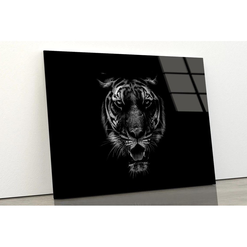 Black & White Beautiful Tiger on Black Acrylic Glass Print Tempered Glass Wall Art 100% Made in Australia Ready to Hang