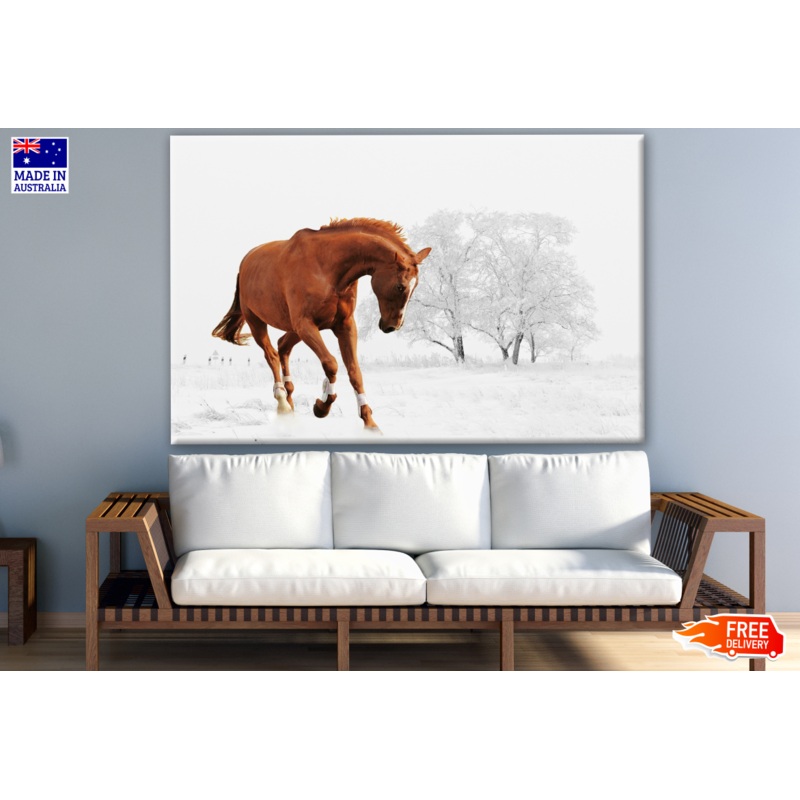 Brown Horse Running in Snow Photograph Print 100% Australian Made
