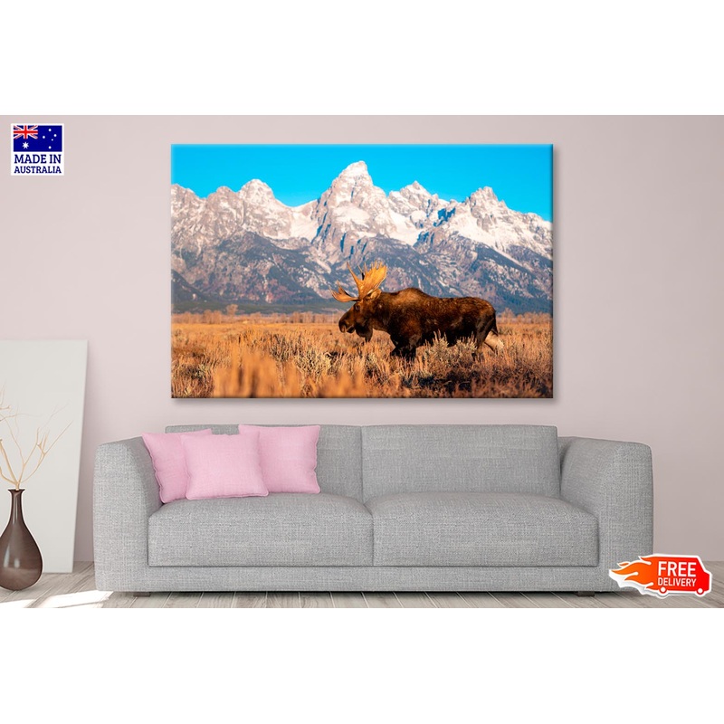 Bull Moose in Mountain Sky  Wall Art Decor 100% Australian Made