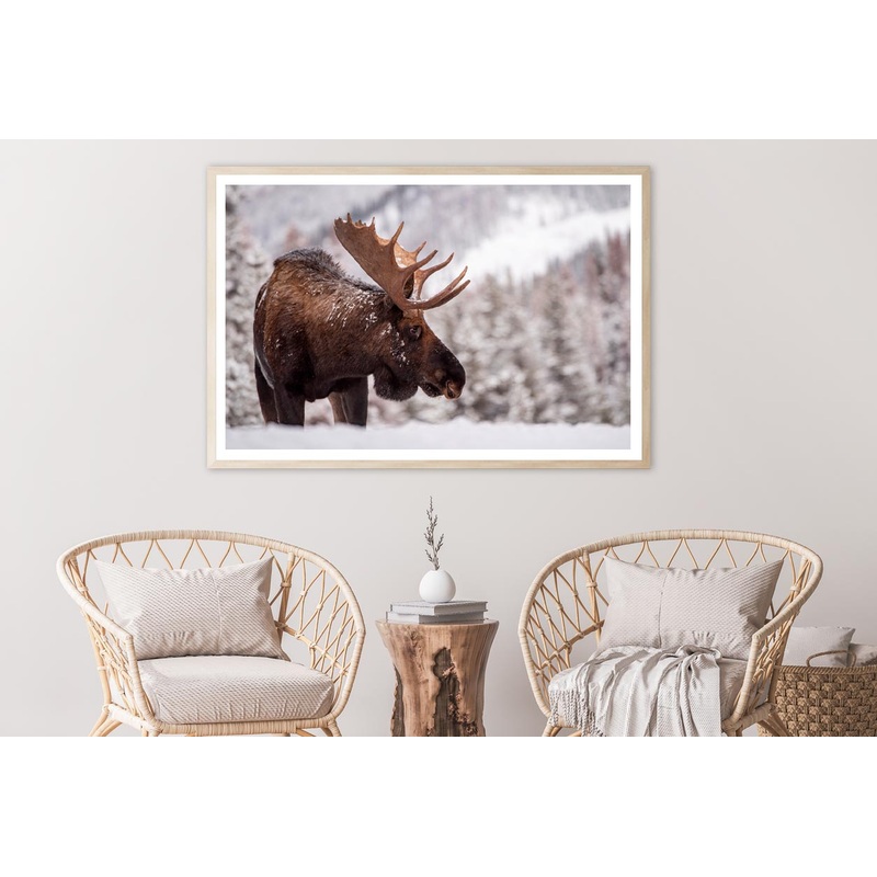 Bull Moose in Snow Home Decor Premium Quality Poster Print Choose Your Sizes