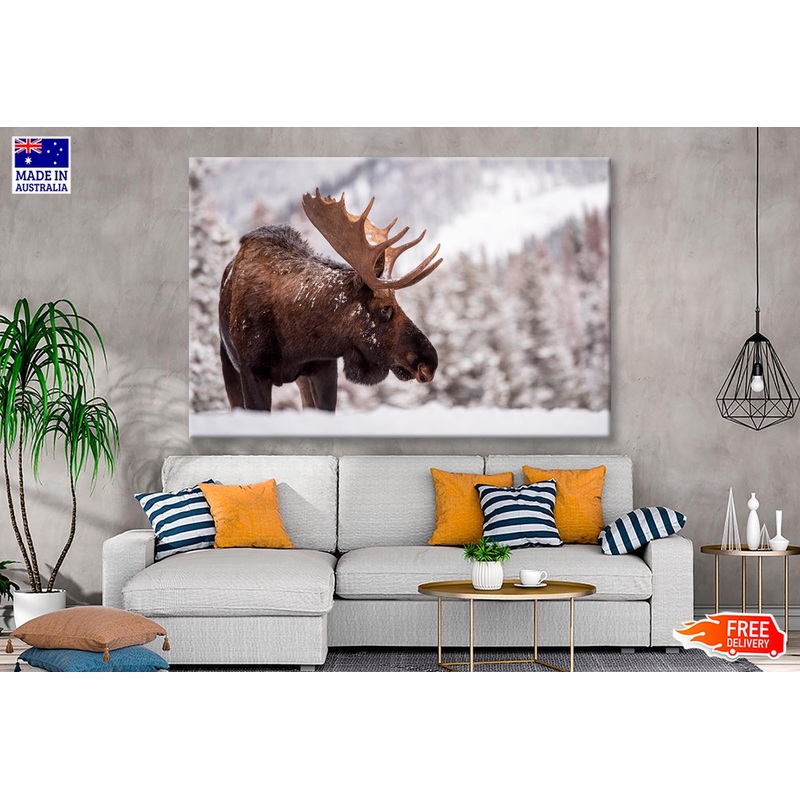 Bull Moose in Snow & Mountain Winter View Wall Art Decor 100% Australian Made