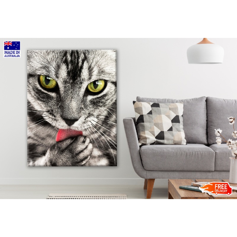 Cat Licking Paw Closeup Photograph Print 100% Australian Made