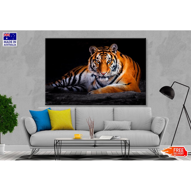 Closeup Of Siberian Tiger   Wall Art Decor 100% Australian Made