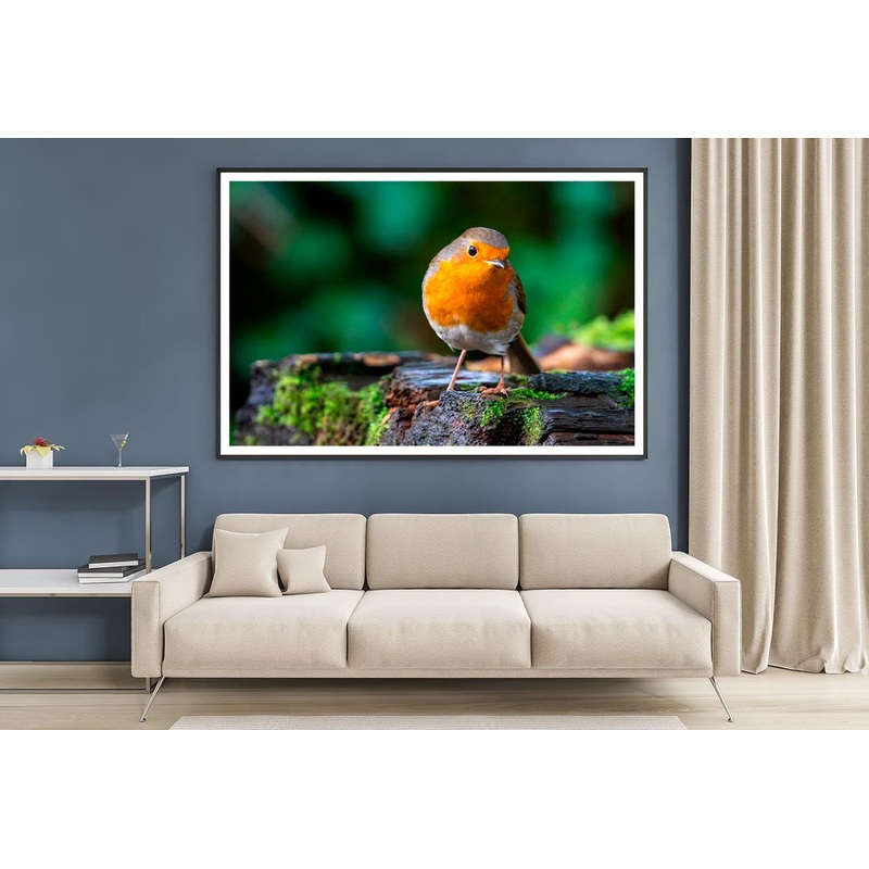 Robin Redbreast Bird a British European Home Decor Premium Quality Poster Print Choose Your Sizes