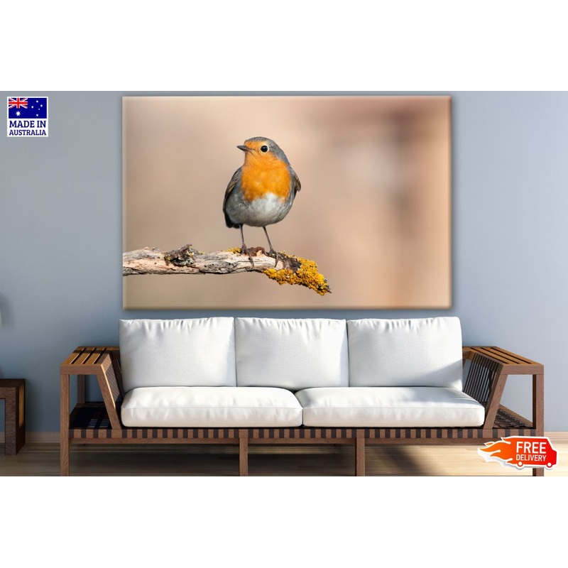 Small Bird On a Branch Photograph Print 100% Australian Made