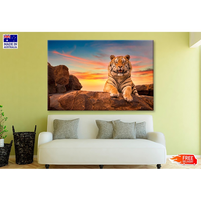 Solitary Adult Bengal Tiger  Wall Art Decor 100% Australian Made