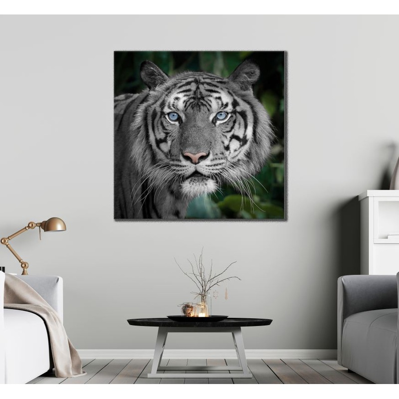 Square Canvas Leopard with Blue Eyes High Quality Print 100% Australian Made