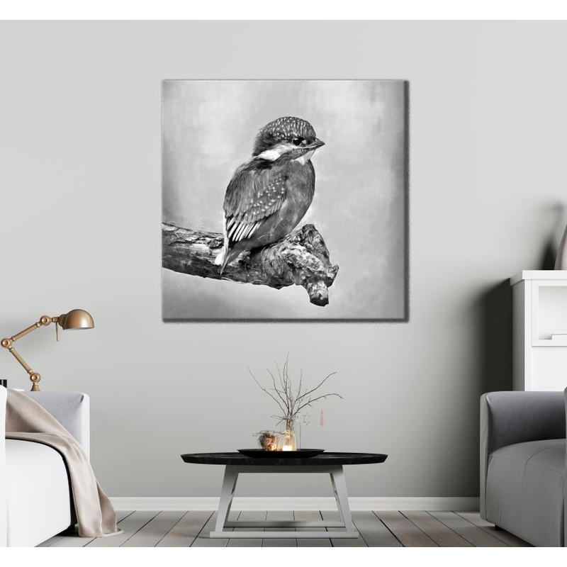 Square Canvas Small Bird B&W Photograph High Quality Print 100% Australian Made
