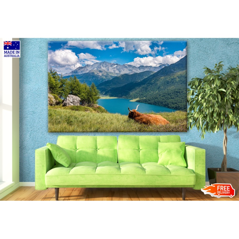 Stunning Nature Scenery View with Highland Cow Photograph Print 100% Australian Made