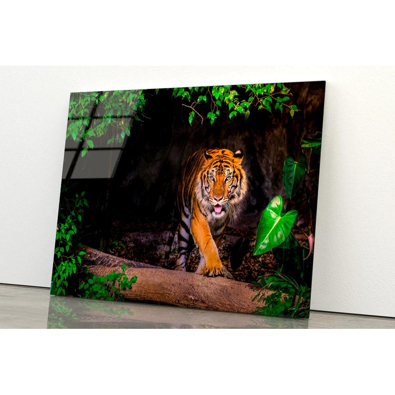 The Siberian Tiger & Forest View Acrylic Glass Print Tempered Glass Wall Art 100% Made in Australia Ready to Hang