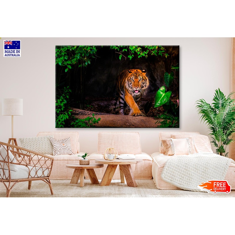 The Siberian Tiger & Forest View Wall Art Decor 100% Australian Made