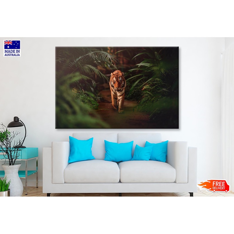 Tiger Prowling Through Dense Jungle Foliage  Wall Art Decor 100% Australian Made