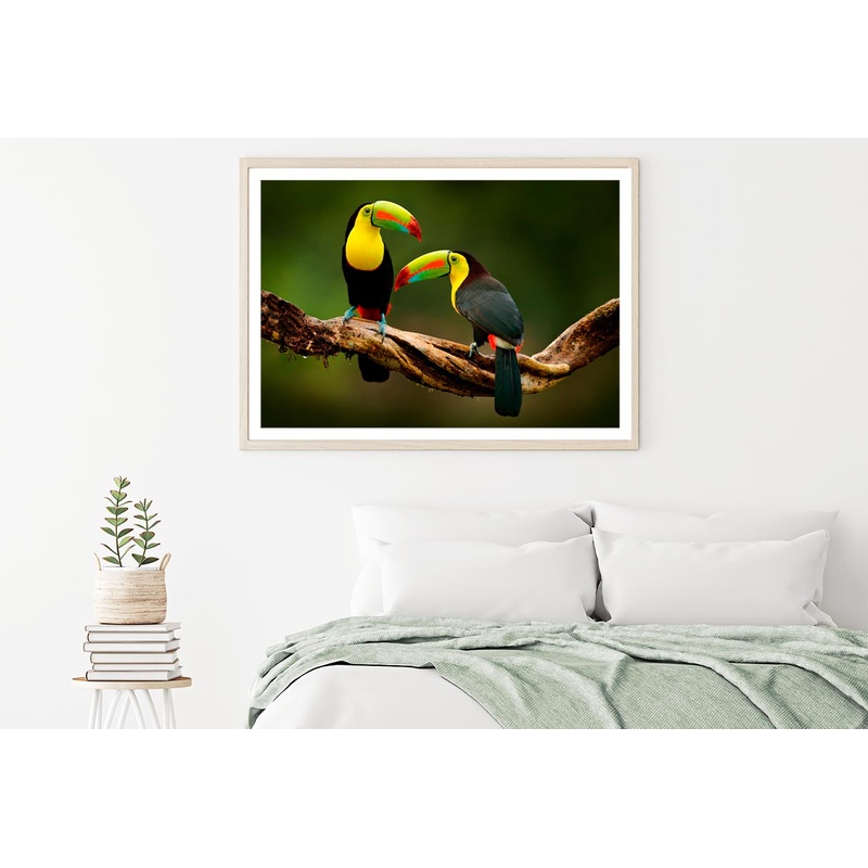 Toucan Sitting on The Branch in The Forest Home Decor Premium Quality Poster Print Choose Your Sizes