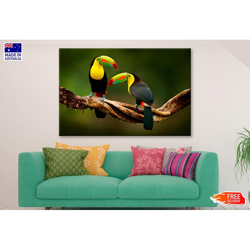 Toucan Sitting on The Branch in The Forest Wall Art Decor 100% Australian Made