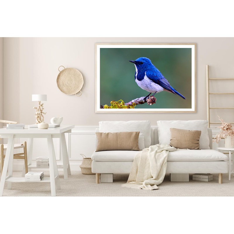 Ultramarine Flycatcher Cute Blue Bird Perching on Top Mossy Home Decor Premium Quality Poster Print Choose Your Sizes